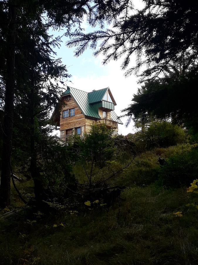 Mountain Story Apartment Žabljak Eksteriør billede