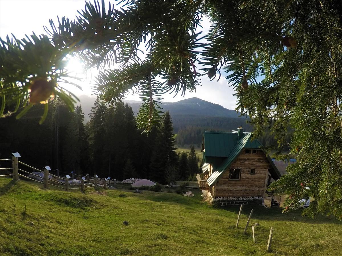 Mountain Story Apartment Žabljak Eksteriør billede